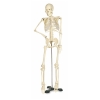 Image for Mr. Thrifty Skeleton with Stand