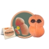Image for Pneumonia (Streptococcus Pneumonia)