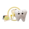 Image for Tooth (Molar)
