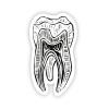 Image for Black & White Tooth Sticker