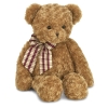 Shaggy the Teddy Bear Image