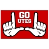 Cover Image for GO UTES Square Bunting